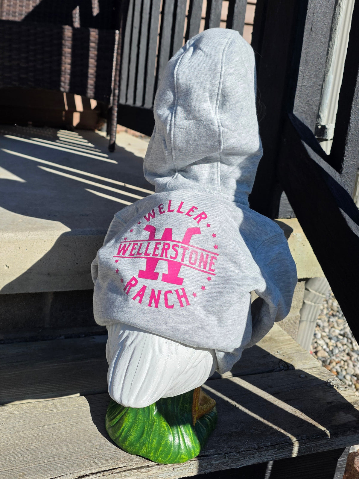 Personalized porch goose hoodie